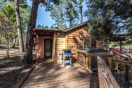 Lofty Pine - image 4