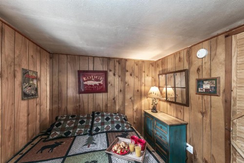 Lofty Pine - image 6
