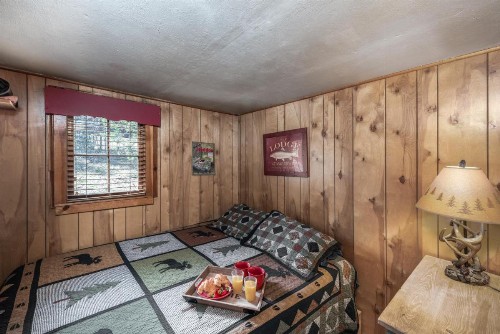 Lofty Pine - image 7