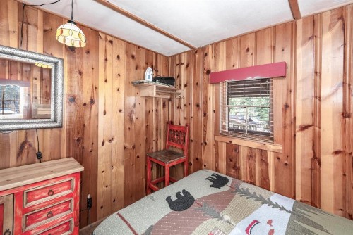Lofty Pine - image 8
