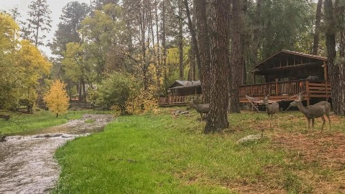 Whispering Pine Cabins - River's Edge - image 6