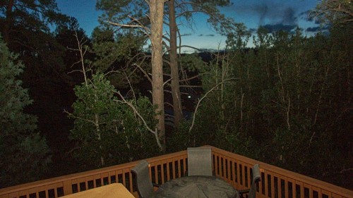 Tanglewood Cabin at Ruidoso with Forest View - image 6