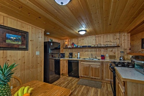 Ruidoso Lonesome Wolf Rustic Studio with Hot Tub! - image 3