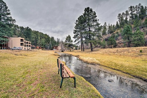 Cozy Ruidoso Condo-by Grindstone Lake and Skiing! - image 10