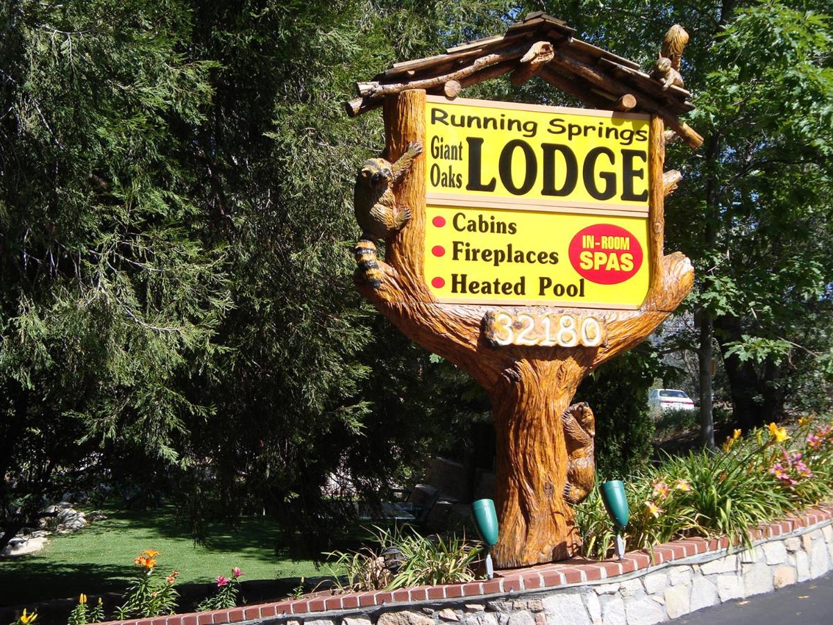 Giant Oaks Lodge - image 4