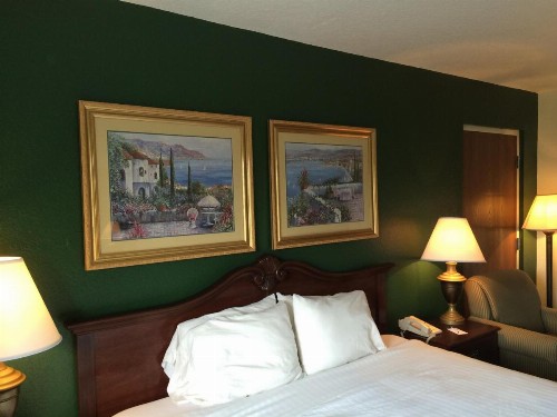 Ruskin Inn Tampa-Sun City Center - image 12