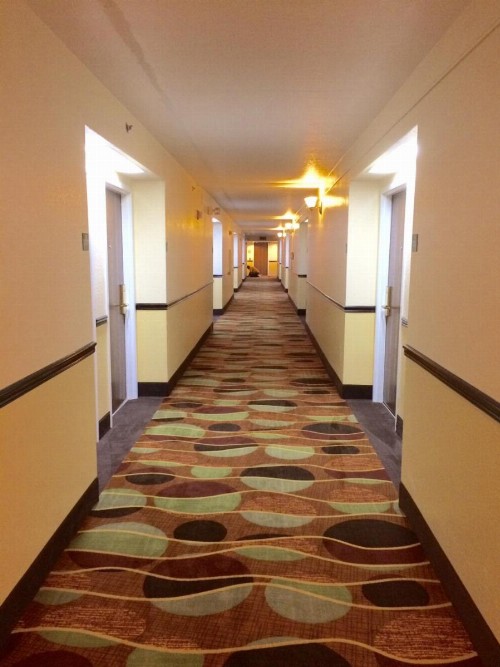 Ruskin Inn Tampa-Sun City Center - image 18