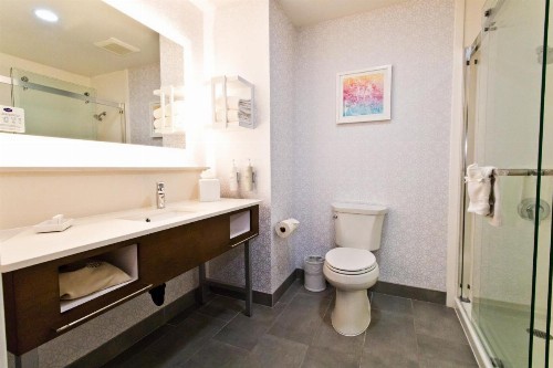 Hampton Inn & Suites Sacramento-Auburn Boulevard - image 12