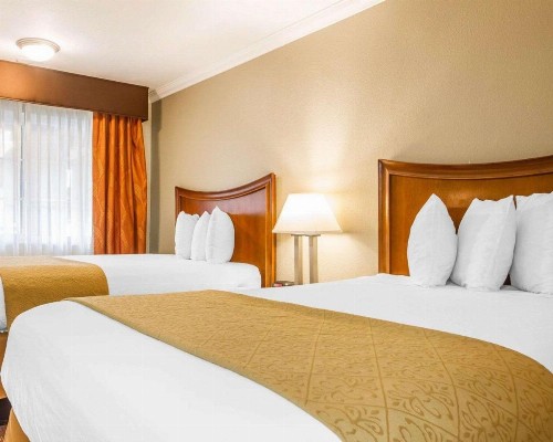 Quality Inn Sacramento - image 5