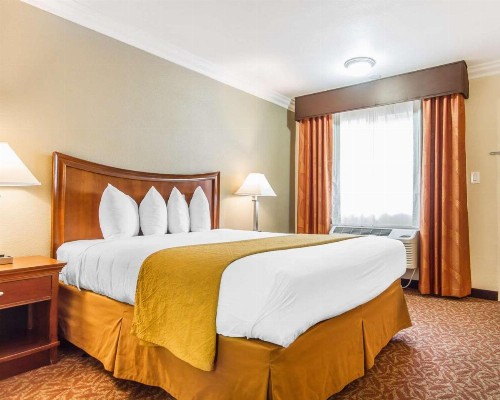 Quality Inn Sacramento - image 7