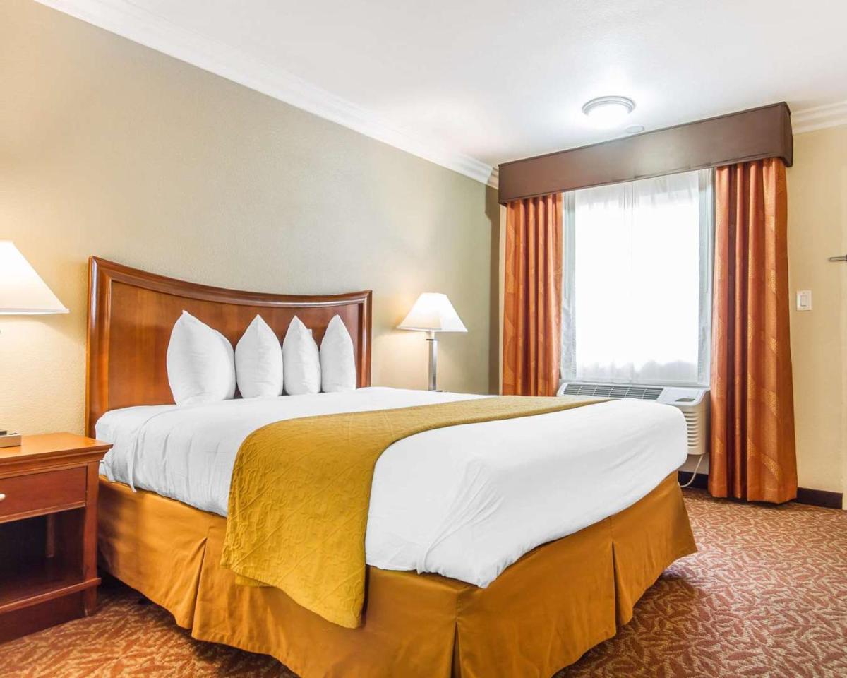 Quality Inn Sacramento - image 7