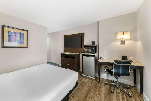 Quality Inn & Suites - image 20