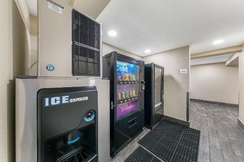 Quality Inn & Suites - image 33