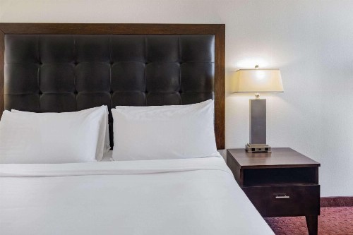 Crowne Plaza Sacramento Northeast an IHG Hotel - image 25