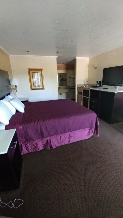 Executive Inn & Suites Sacramento - image 3