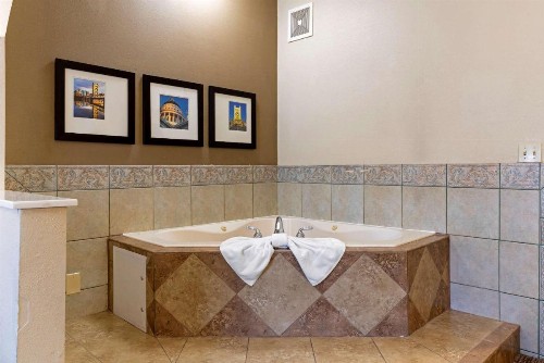 Comfort Suites Downtown Sacramento - image 23