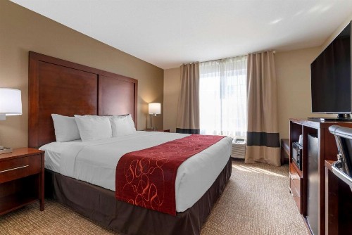 Comfort Suites Downtown Sacramento - image 27