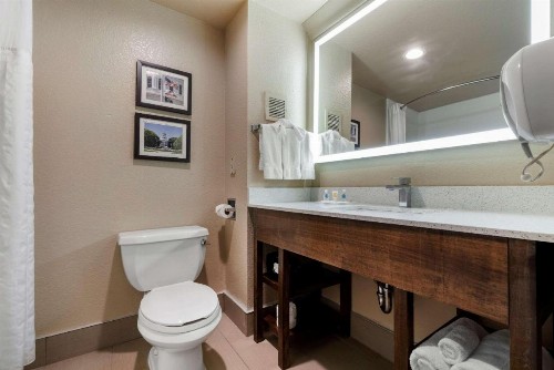 Comfort Suites Downtown Sacramento - image 35