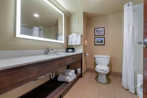 Comfort Suites Downtown Sacramento - image 38