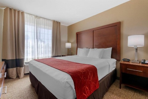 Comfort Suites Downtown Sacramento - image 40