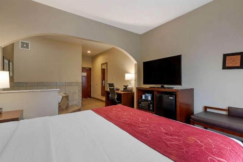 Comfort Suites Downtown Sacramento - image 44