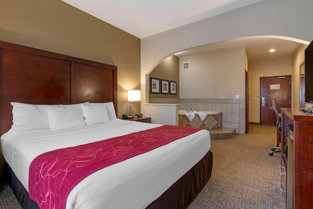 Comfort Suites Downtown Sacramento - image 5