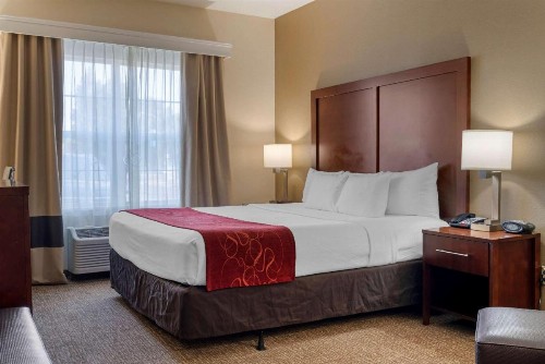 Comfort Suites Downtown Sacramento - image 6