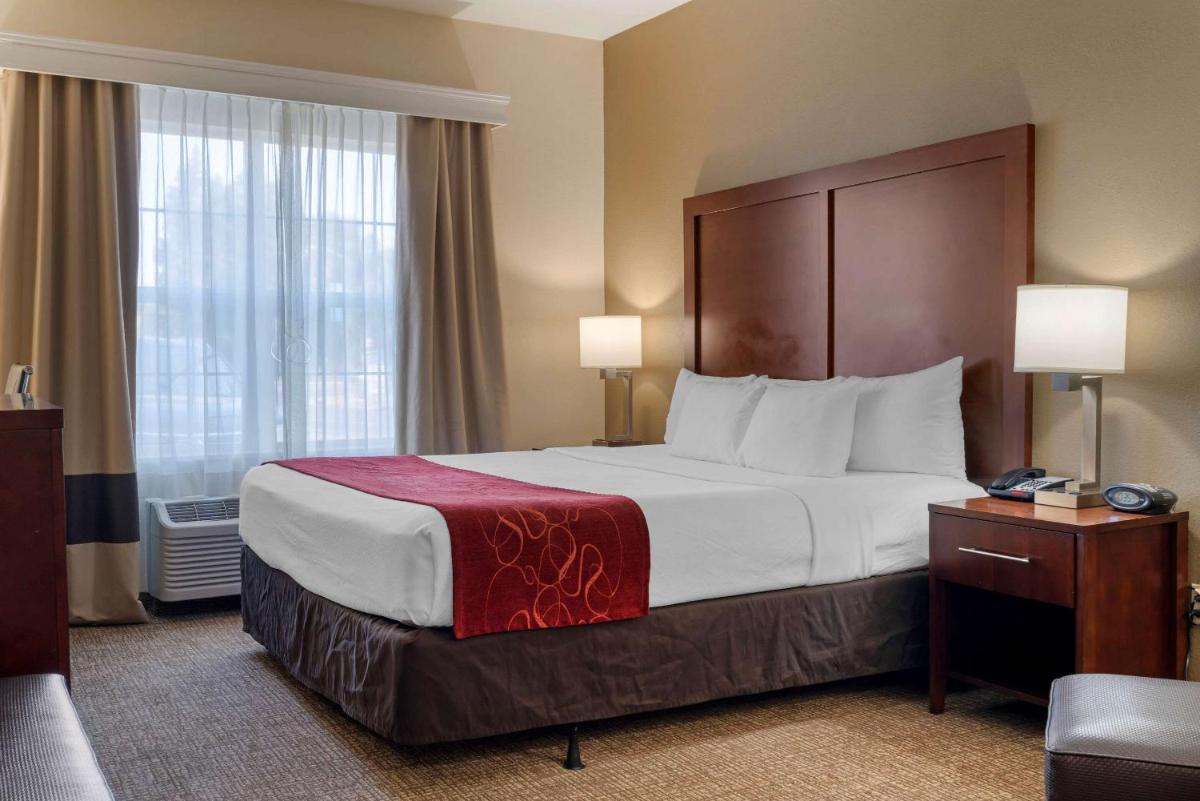 Comfort Suites Downtown Sacramento - image 6