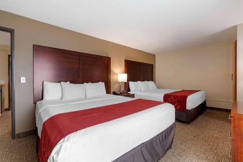 Comfort Suites Downtown Sacramento - image 8