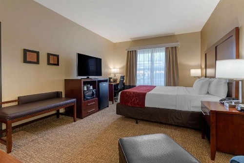 Comfort Suites Downtown Sacramento - image 9
