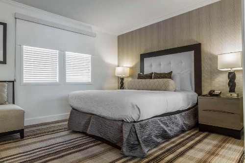 Inn Off Capitol Park Ascend Hotel Collection - image 28