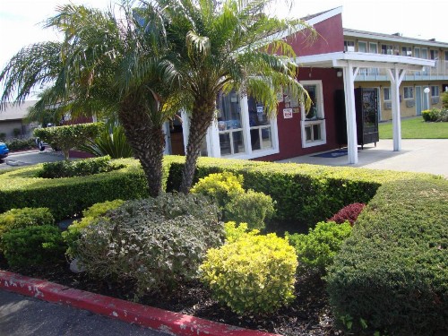 Oasis Inn Sacramento- Elk Grove - image 9