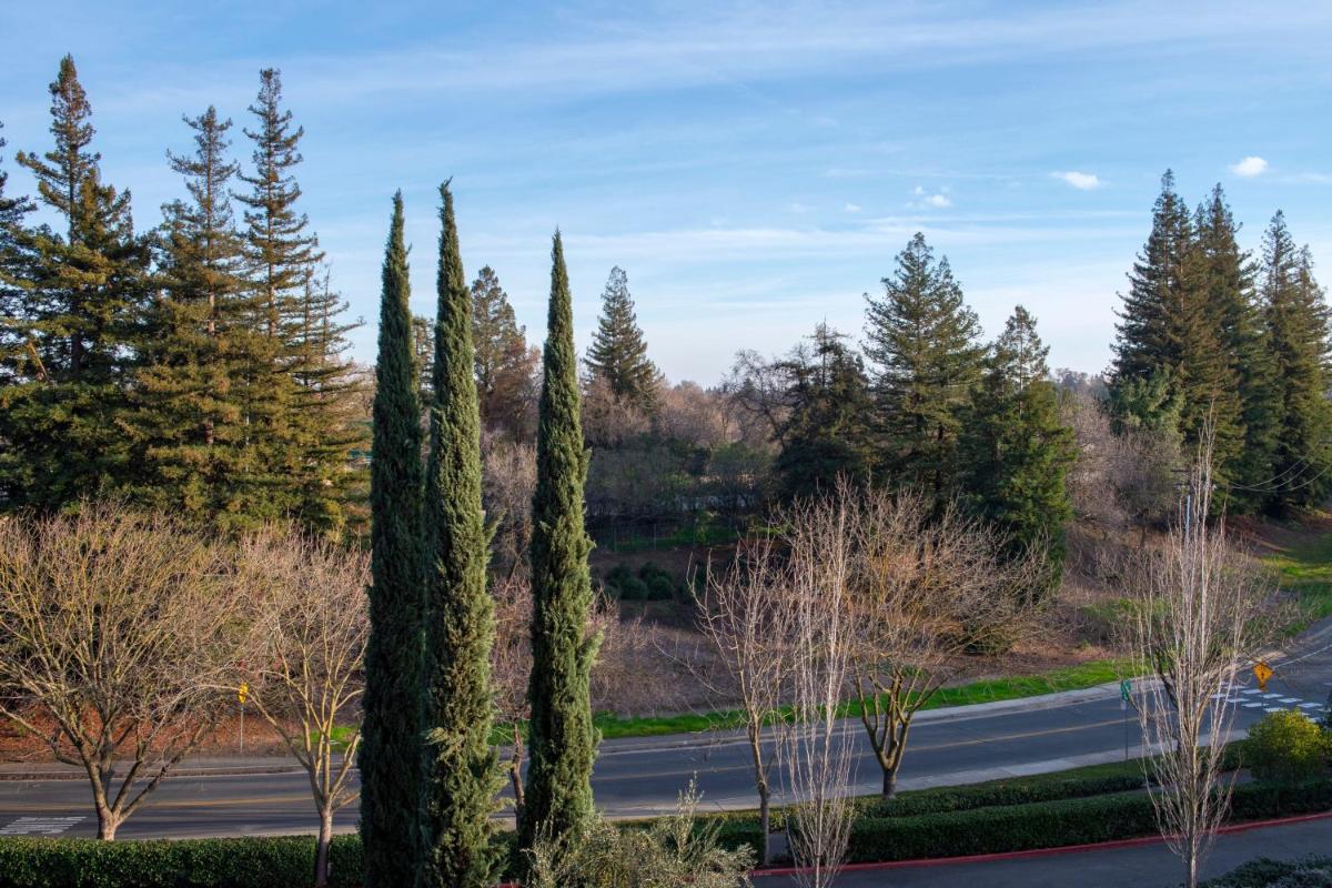 The Westin Sacramento - image 5