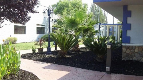 SureStay Plus Hotel by Best Western Sacramento Cal Expo - image 9