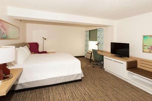 Hilton Garden Inn Saint Augustine Beach - image 25