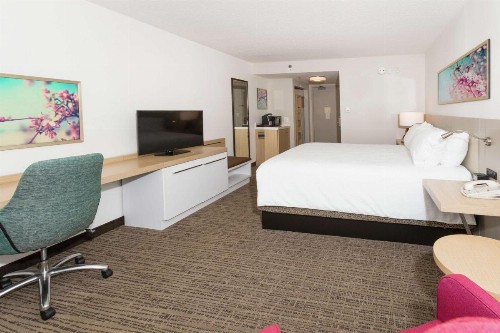 Hilton Garden Inn Saint Augustine Beach - image 42