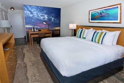 Guy Harvey Resort on Saint Augustine Beach - image 28