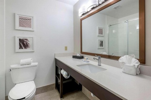 Comfort Inn & Suites Saint Augustine - image 26