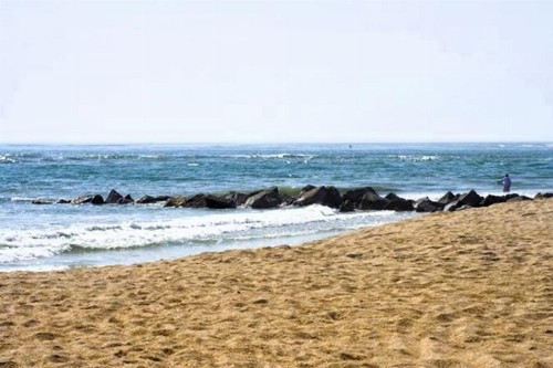 Oceanview Lodge - Saint Augustine - image 10