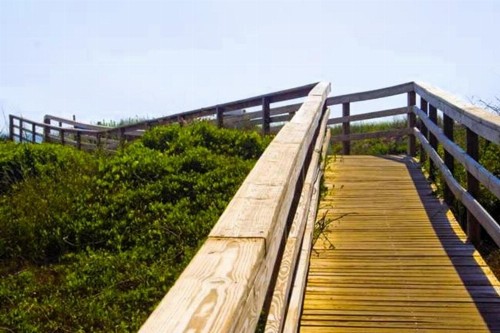 Oceanview Lodge - Saint Augustine - image 11