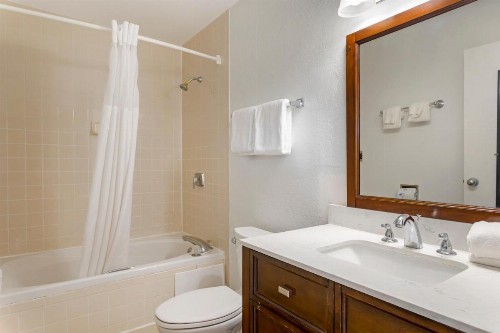 Quality Inn & Suites St Augustine Beach - image 20