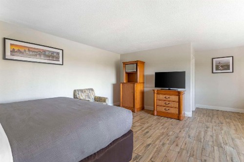 Quality Inn & Suites St Augustine Beach - image 41
