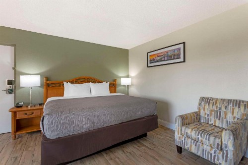 Quality Inn & Suites St Augustine Beach - image 43
