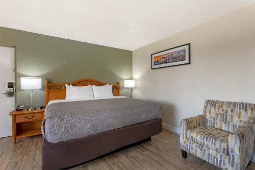 Quality Inn & Suites St Augustine Beach - image 44