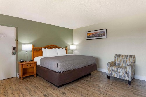 Quality Inn & Suites St Augustine Beach - image 45