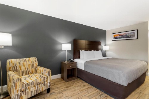 Quality Inn & Suites St Augustine Beach - image 6