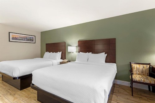 Quality Inn & Suites St Augustine Beach - image 8
