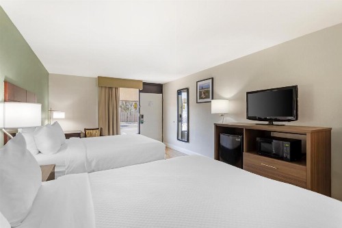 Quality Inn & Suites St Augustine Beach - image 9
