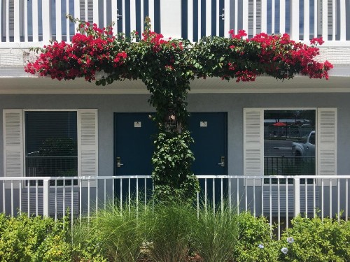 Southern Oaks Inn - Saint Augustine - image 15