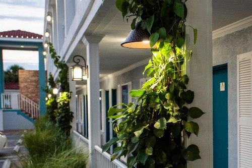 Southern Oaks Inn - Saint Augustine - image 22